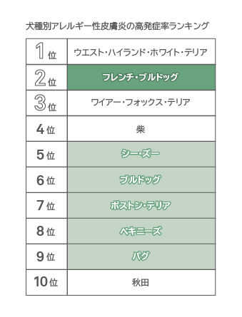 犬種別アレルギー性皮膚炎の発症率